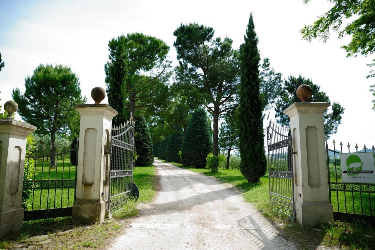 Agriturismo Al Colle Bertinoro Luaran gambar