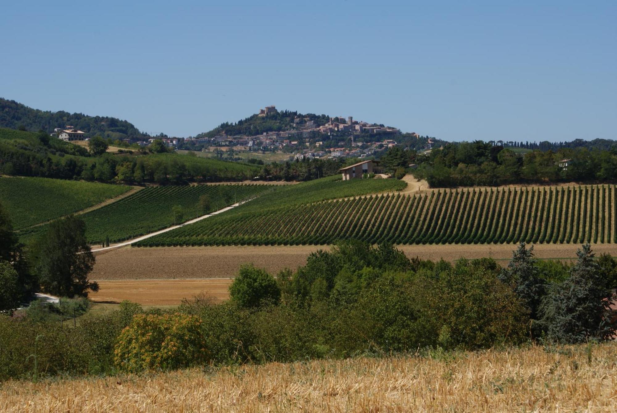 Agriturismo Al Colle Bertinoro Luaran gambar