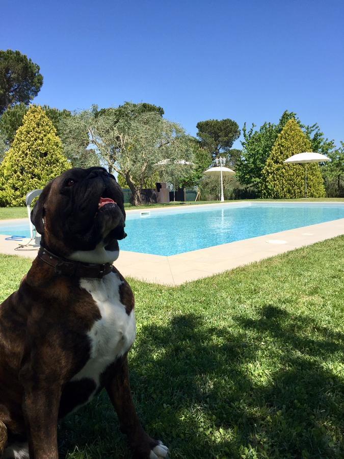 Agriturismo Al Colle Bertinoro Luaran gambar